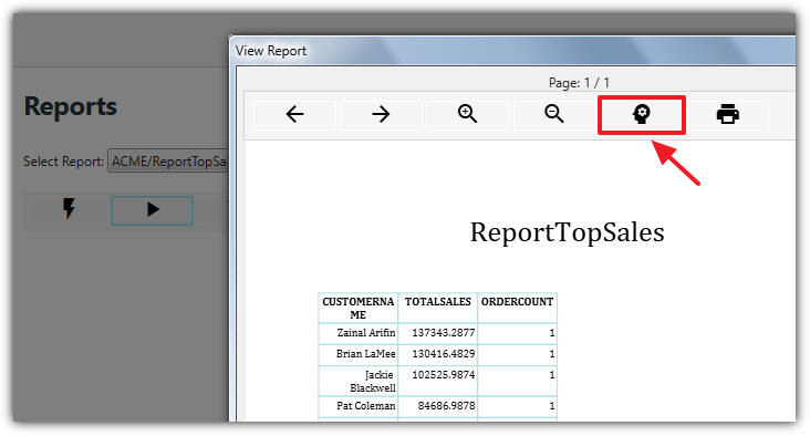 Execute Report